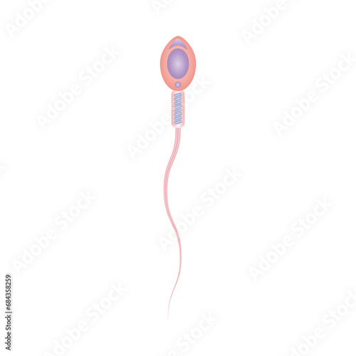 Human Sperm Diagram Scientific Design. Vector Illustration.