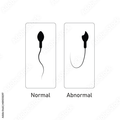 Sperm Morphology Scientific Design. Vector Illustration.
