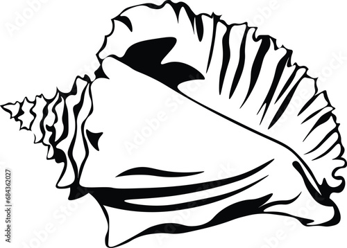Cartoon Black and White Isolated Illustration Vector Of A Conch Shell