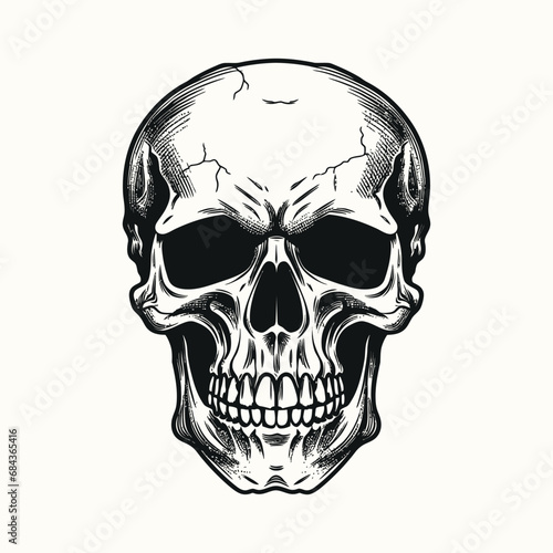 Wallpaper Mural Vintage human skull vector on white background with hand drawn skull silhouette Torontodigital.ca