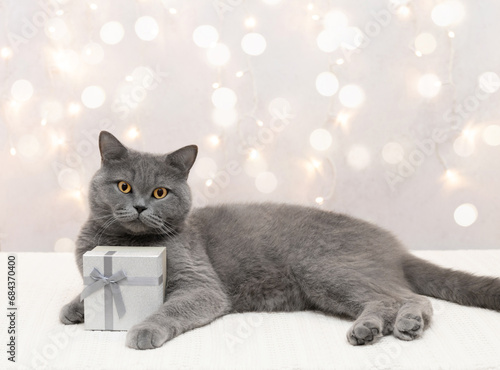 British cat with gift on light background with copy space. Cute cat holds a gift box in its paws. Christmas or New Year card. © miss.lemon