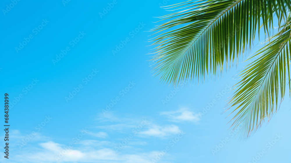 Background sky,Bright Pastel color blue With coconut leaves Background sky,Bright Pastel color blue With coconut leaves