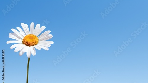 A vibrant daisy against a clear blue sky, offering space for text placement.