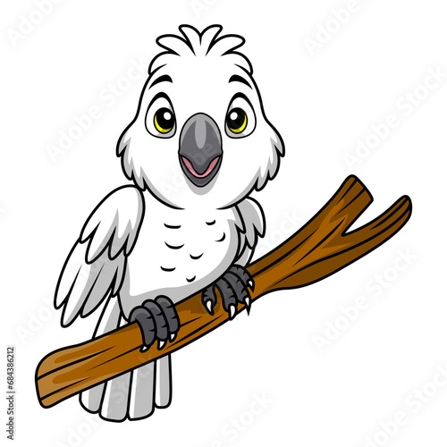 Cute white cockatoo cartoon on white background