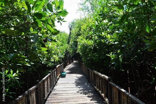 wooden bridge through a beautiful forest