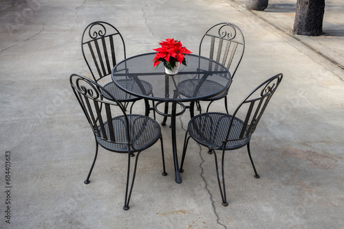 Classic red poinsettia plant, Christmas decoration, on a metal patio table with chairs 