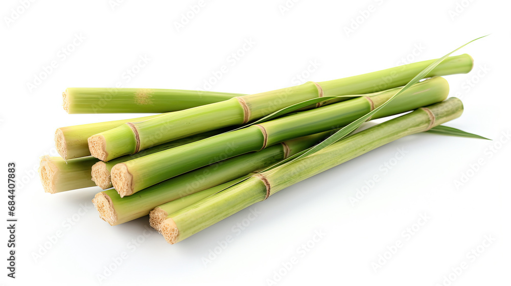Fototapeta premium fresh green sugarcane isolated on white background