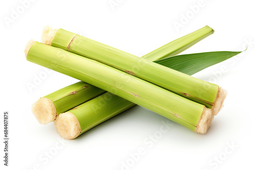 fresh green sugarcane isolated on white background photo
