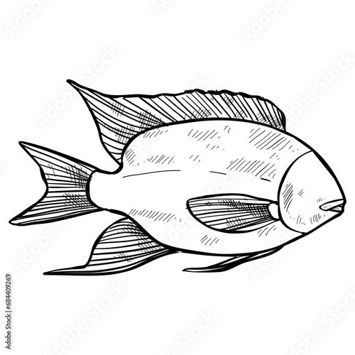 fish hand drawn illustration