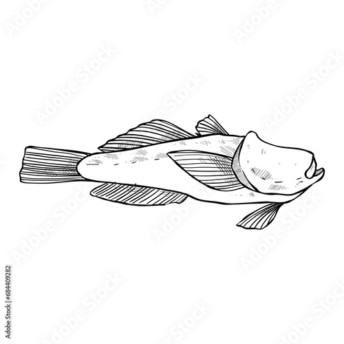 fish hand drawn illustration