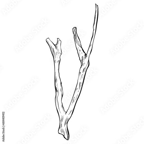 wood handdrawn illustration 