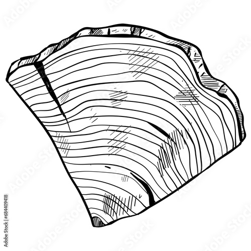 wood handdrawn illustration 