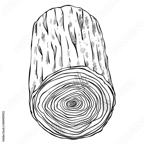 wood handdrawn illustration 