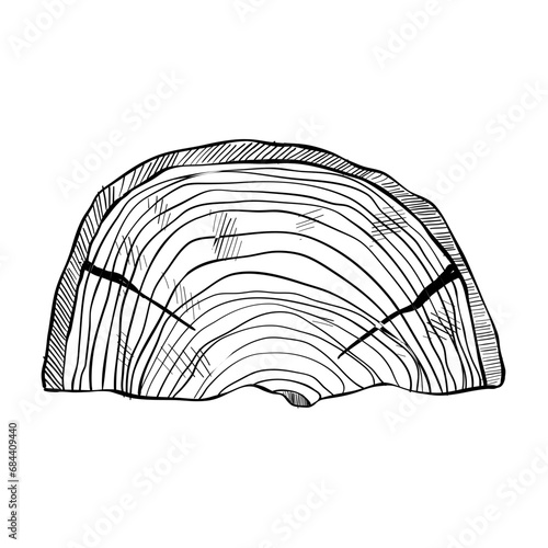 wood handdrawn illustration 