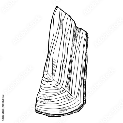 wood handdrawn illustration 