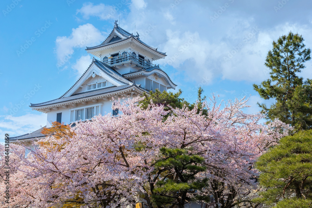 Nagahama Castle in Shiga Prefecture, Japan during full bloom cherry blossom season Nagahama Castle in Shiga Prefecture, Japan during full bloom cherry blossom season