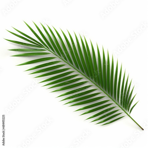 Palm leaf branch tropic summer isolated backgrounds 3d illustration, Generative AI 