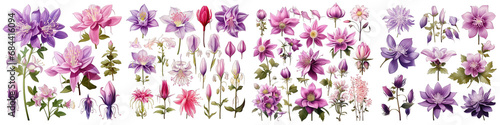 Aquilegia  Flower Set Concept Props For Icon Designing Hyperrealistic Highly Detailed Isolated On Transparent Background Png File © Wander Taste