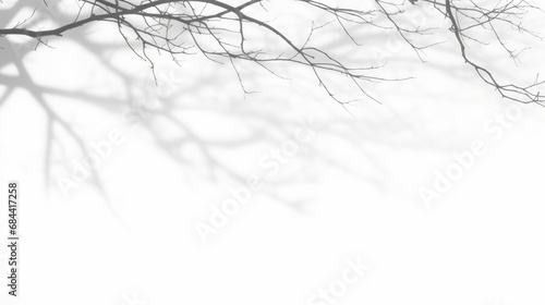 Realistic tree branches shadow blur isolate on white backgrounds 3d render  Generative AI 