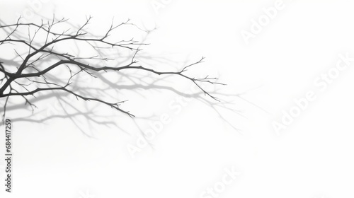 Realistic tree branches shadow blur isolate on white backgrounds 3d render, Generative AI 