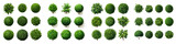 Boxwood  Flower Set Concept Props For Icon Designing Hyperrealistic Highly Detailed Isolated On Transparent Background Png File