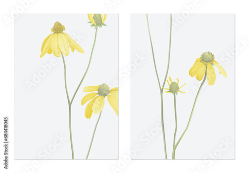 Floral poster template design, Cutleaf coneflower with branch on grey