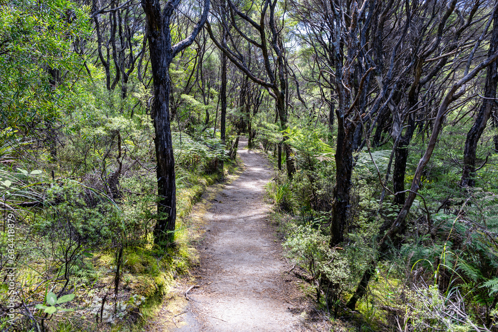 Abel Tasman National Park near Nelson New Zealand