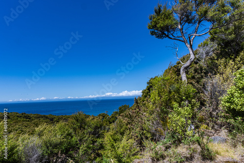 Abel Tasman National Park near Nelson New Zealand