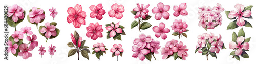 Catharanthus  Flower Set Concept Props For Icon Designing Hyperrealistic Highly Detailed Isolated On Transparent Background Png File