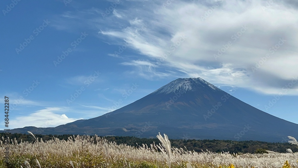 Fototapeta premium fuji