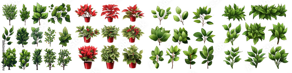 Euonymus  Flower Set Concept Props For Icon Designing Hyperrealistic Highly Detailed Isolated On Transparent Background Png File
