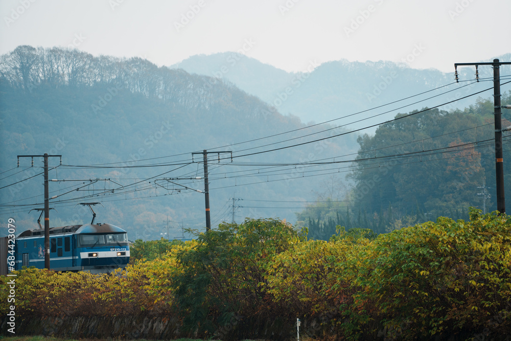 田舎を走る貨物列車の写真