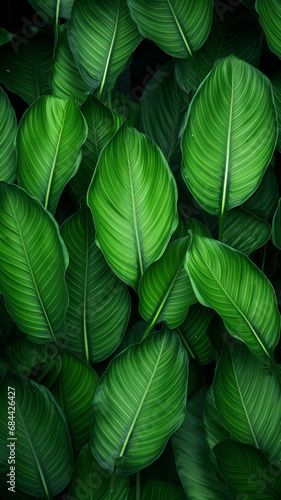 green leaf nature texture realistic background