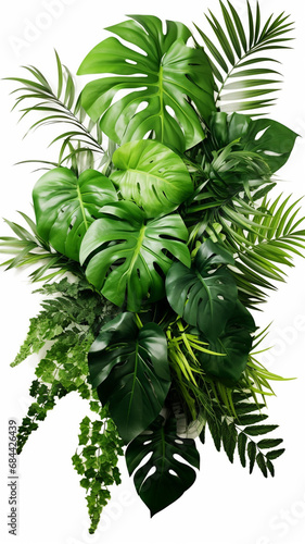 Green leaves of tropical plants bush Monstera abstract design