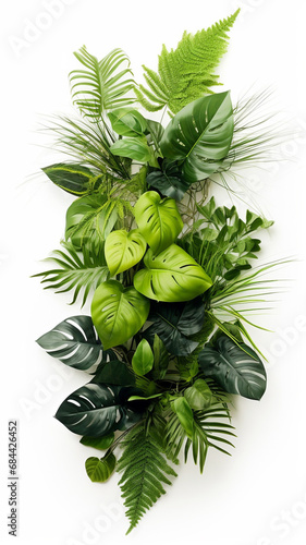 Green leaves of tropical plants bush Monstera palm illustration