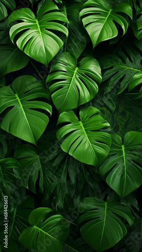 Abstract Tropical green leaves background