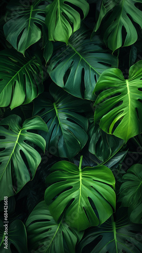 Tropical greenery leaf plant herbs leaves monstera design