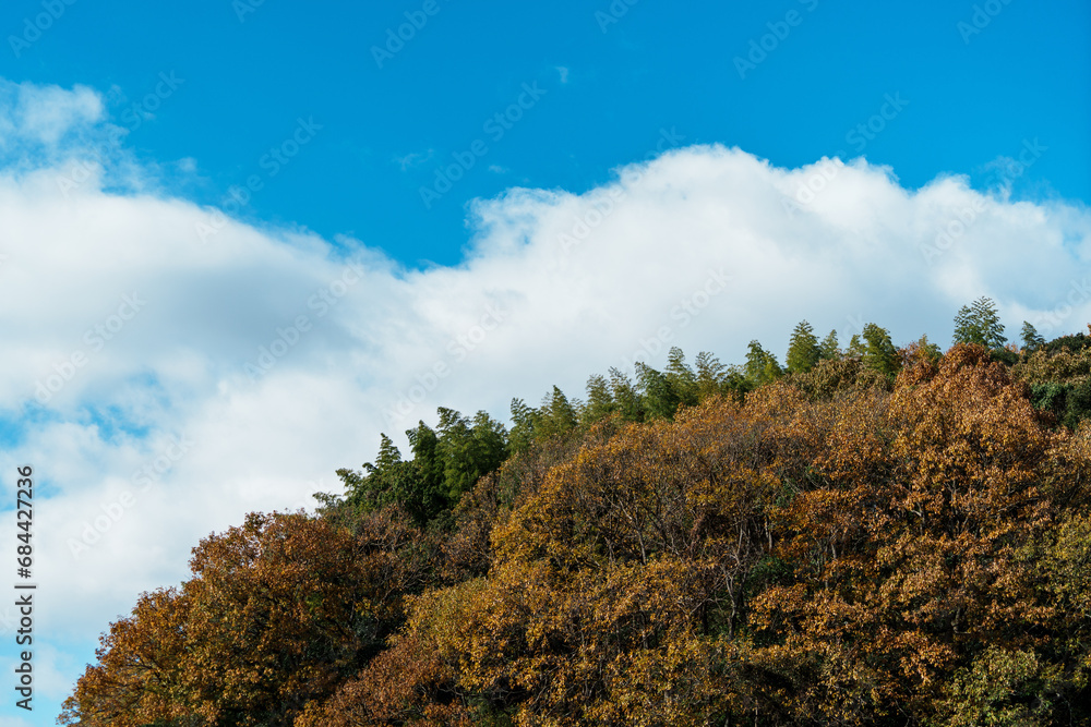 Obraz premium 青空に映える秋の山