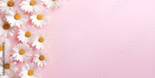 White chamomile daisy flowers on a pale pink background with copy space, Floral background, Generative AI