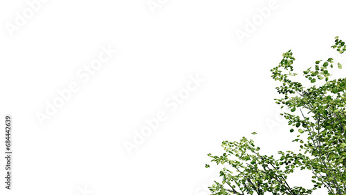tree leave nature transparent cut out forest isolated background 3d render. © dps studio