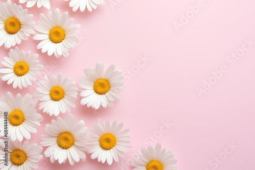 White chamomile daisy flowers on a pale pink background with copy space, Floral background, Generative AI