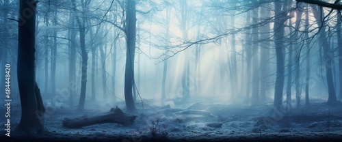 misty morning in the forest © Naseem