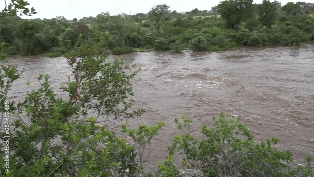 Devastating flood in Kruger National Park, South Africa. Pan left Devastating flood in Kruger National Park, South Africa. Pan left