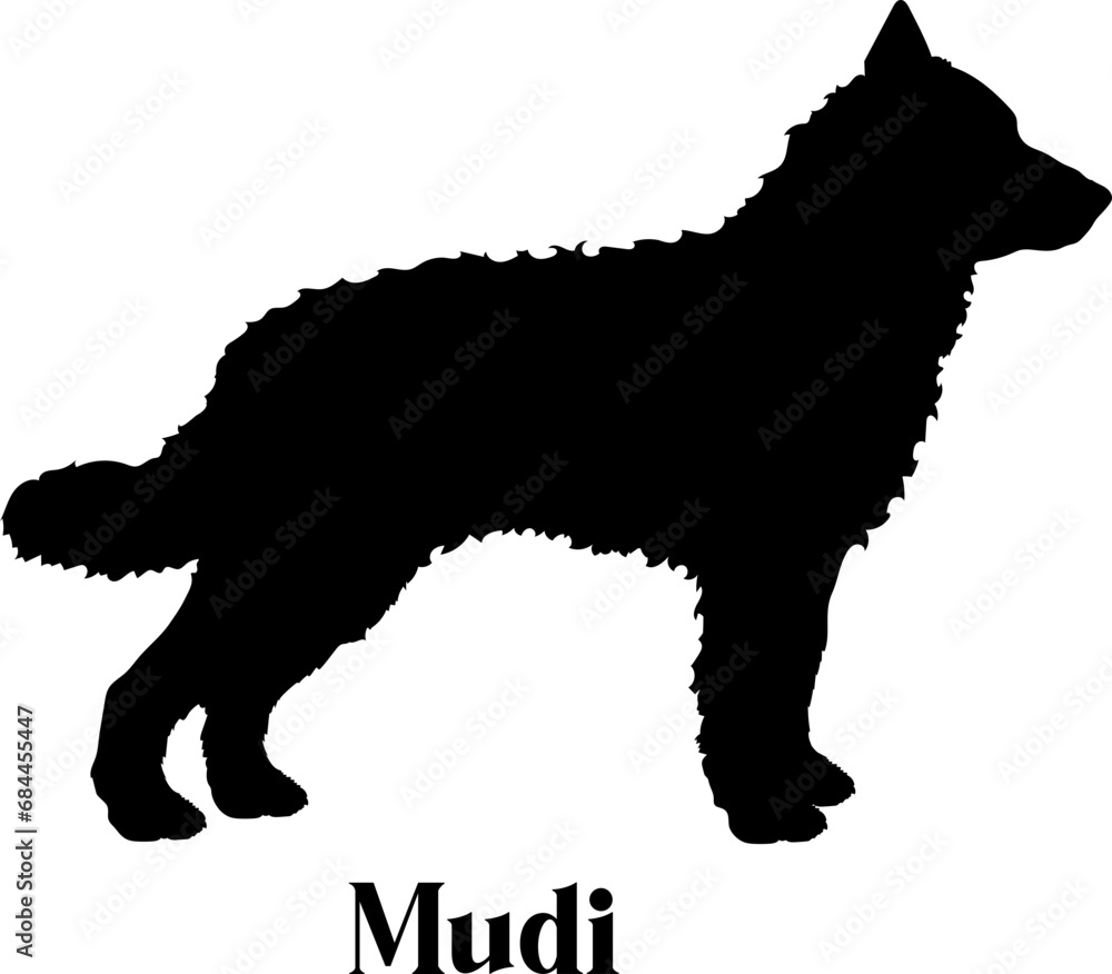  Mudi Dog silhouette dog breeds logo dog monogram logo dog face vector