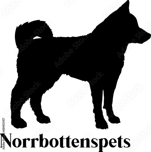 Norrbottenspets Dog silhouette dog breeds logo dog monogram logo dog face vector