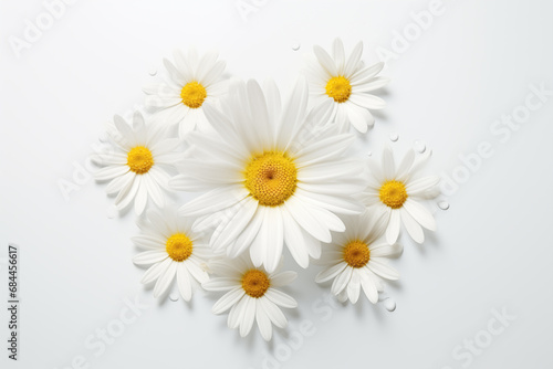 Chamomile daisy flowers on a white background, Minimal floral background, Lifestyle, spring, summer concept. Generative AI