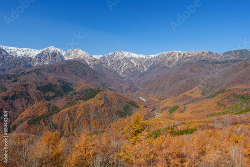 白馬マウンテンハーバーからの紅葉