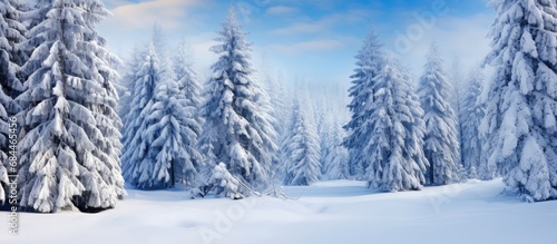 In the heart of the winter forest, a majestic fir tree stood covered in a blanket of white snow, showcasing the beauty of nature in its purest form. The surrounding garden, with its lush green plants