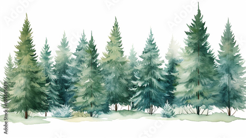 Watercolor winter forest Christmas green trees Spruce postcard