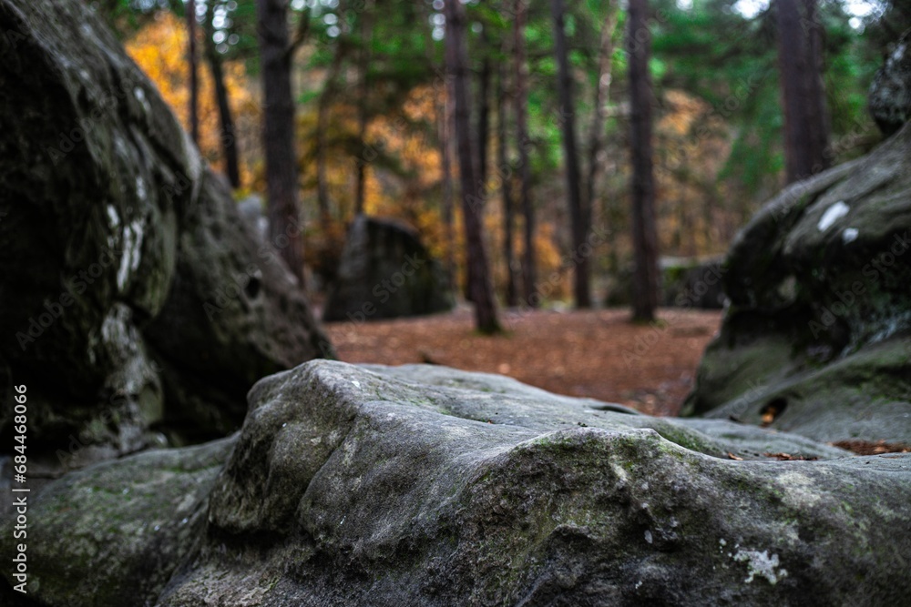 Scenic view of Trois Pignons Forest in Fontainebleau, France in autumn Scenic view of Trois Pignons Forest in Fontainebleau, France in autumn